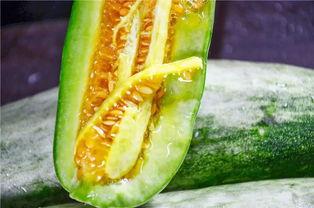 群众吃不同的瓜,群众口味大不同