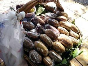 贵州贵阳吃瓜,夏日吃瓜盛宴，品味地方特色美食