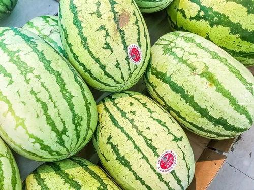 江阴最新吃瓜事件,真相揭秘，网络热议背后的故事