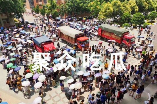 云南高校 吃瓜,揭秘校园里的热点风波