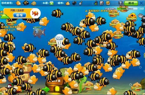 迅雷吃瓜小鱼在线观看