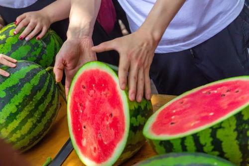 各个大学吃瓜事件,盘点那些引发热议的校园吃瓜事件