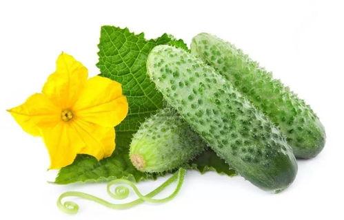 出生自带吃瓜系统,揭秘我的独特“吃瓜”系统