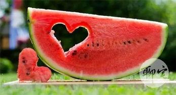 吃瓜重要,揭秘网络时代的“吃瓜”文化现象