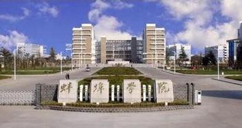 安徽蚌埠学院吃瓜,揭秘校园里的“瓜田”风云