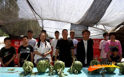 河北搭档吃瓜,揭秘娱乐圈幕后故事