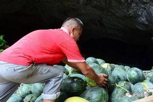 郴州市吃瓜,吃瓜群众的味蕾盛宴