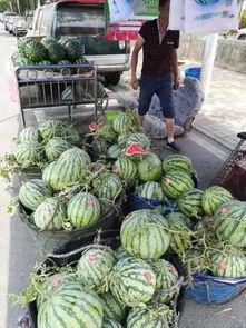 锦州义县吃瓜事件,一场引发热议的街头冲突纪实