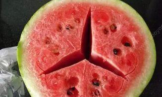 鹿羽吃瓜粉色的,鹿羽吃瓜粉色的甜蜜日常