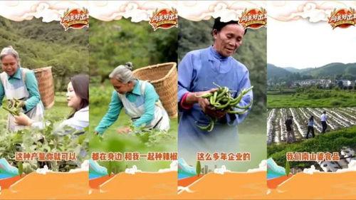 故事直播间吃瓜,揭秘网络红人的幕后故事