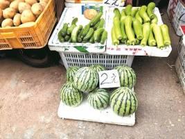 自由的吃瓜基地,网络舆论场中的独特现象