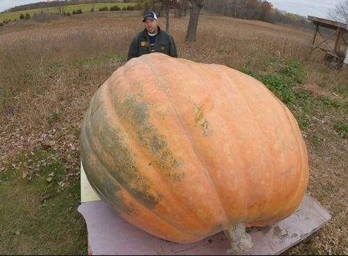 吃瓜吐糟,吃瓜群众吐糟风云录