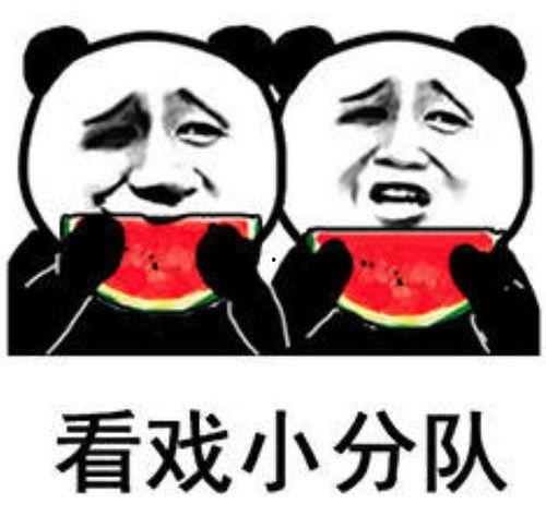 全程花式吃瓜表情包,带你领略网络幽默的魅力