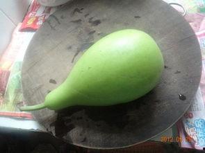 煮老瓜吃,品味老瓜的独特魅力