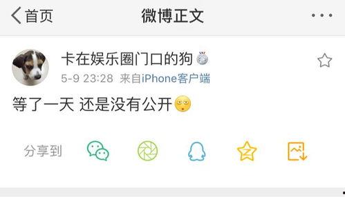 爆料吃瓜网598,独家爆料背后的真相与内幕