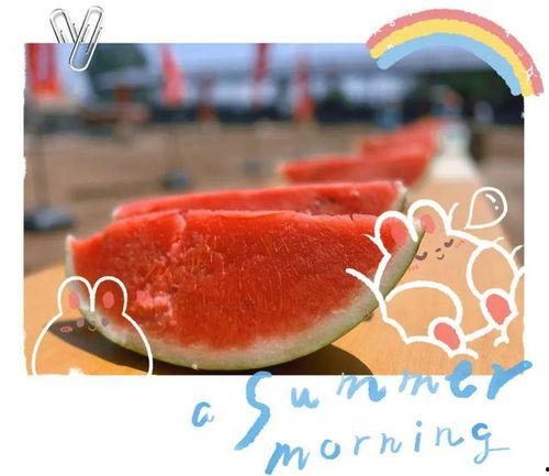 农村吃瓜炸裂现场