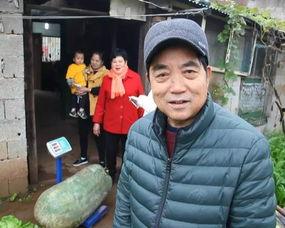 吃瓜群众过路市民,见证城市生活的点点滴滴