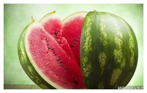 左右吃瓜,笑谈人间百态