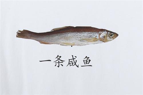 咸鱼之王吃瓜持久,揭秘网络红人的瓜田奇遇