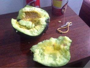 吃瓜只吃瓤,只品瓤中甘甜，尽享自然馈赠