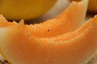 吃甜甜沙漠蜜瓜视频,揭秘甜甜蜜瓜的独特魅力