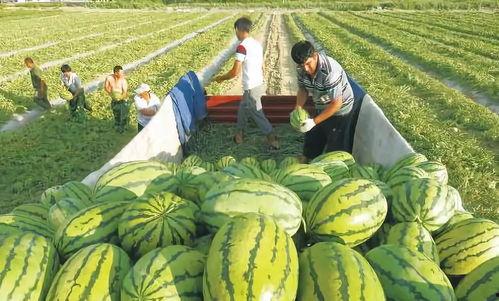 吃瓜中的线索及作用