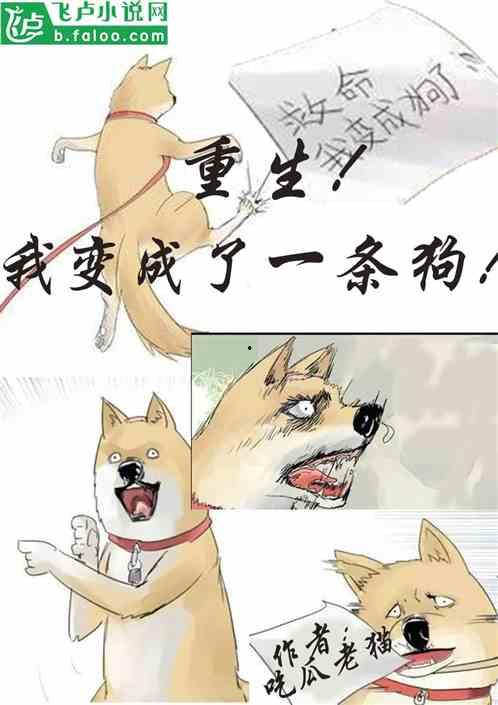 吃瓜大全小说,揭秘娱乐圈背后的秘密与真相