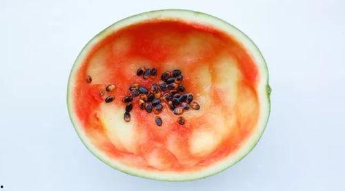 勺子吃瓜视频大全,揭秘热门视频背后的趣味故事