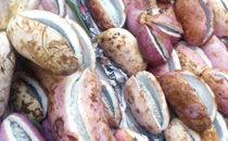 孕妇可以吃八月瓜好吗