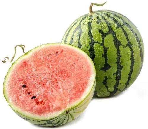 吃瓜的太阳,探寻吃瓜者的趣味世界