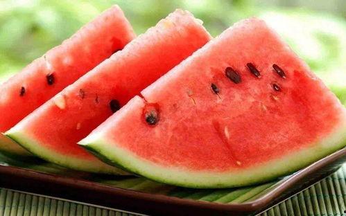 瑞安夏日吃瓜