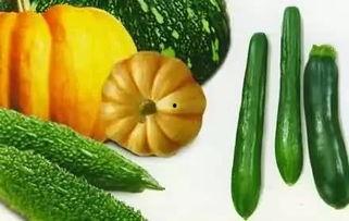 亚当吃瓜